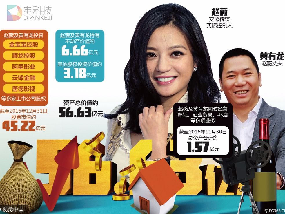 赵薇背后的大Boss兼老公黄有龙,一个资本快手